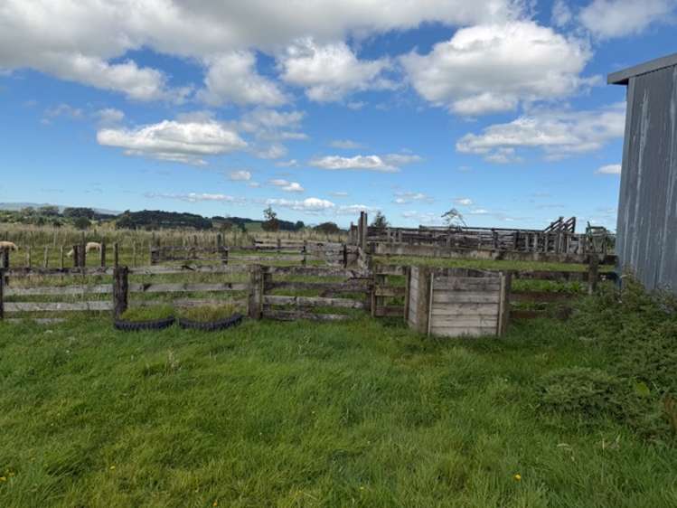 9A Cnr Tamaki East/West Roads Dannevirke_6