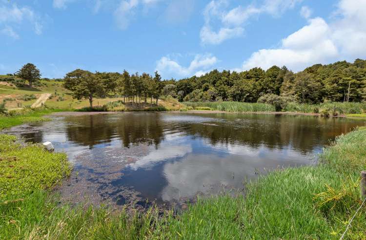 123 Homackey Road Matakohe_25