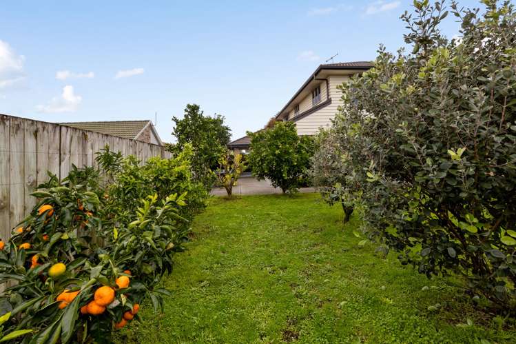 52 Macfarlane Street Hamilton East_28