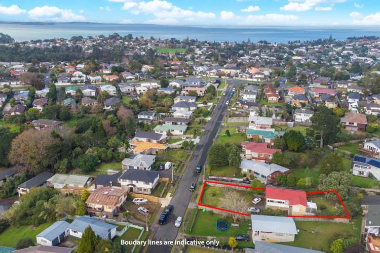 12 Mason Street New Lynn_1