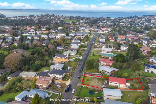 12 Mason Street New Lynn_1