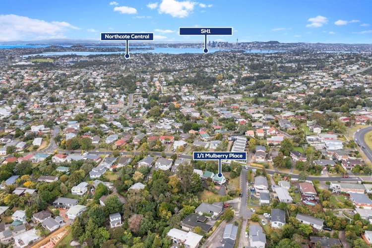 1/1 Mulberry Place Glenfield_12