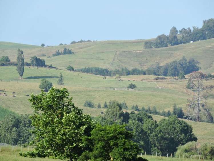 Taotaoroa Road Matamata_7