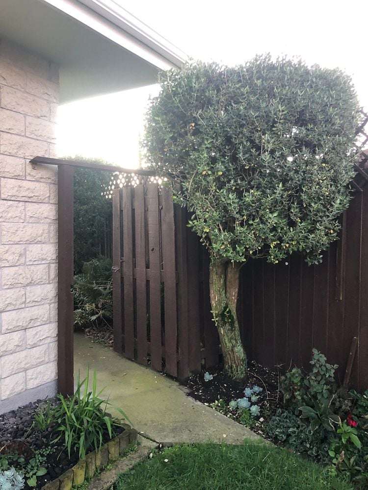 14A Wanstead Place Woolston_11