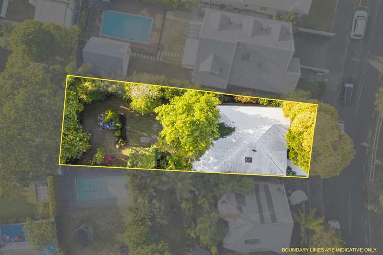 58 Elgin Street Grey Lynn_18