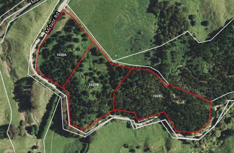 1028B McIvor Road Rotoma_2