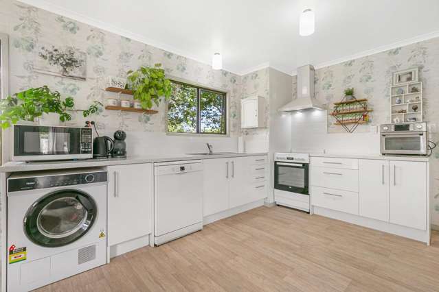 52 Jacksons Road Levin_3