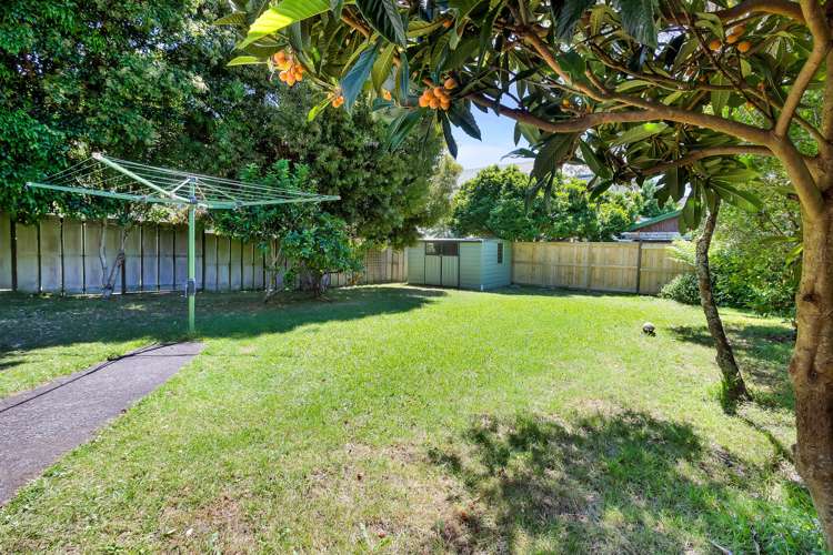 35 Wright Road Point Chevalier_14