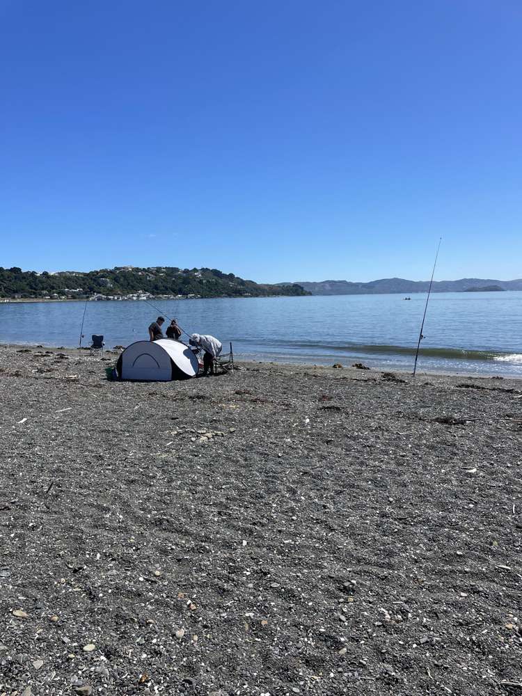 39 Marine Parade Seatoun_22