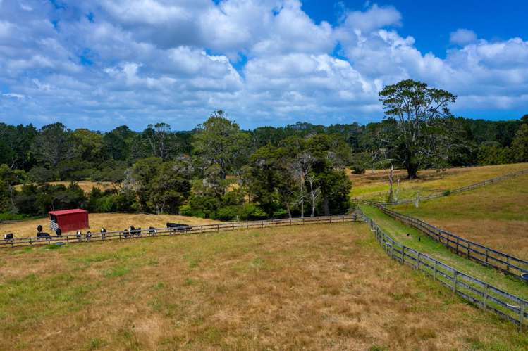 11 Tawa Road Kumeu_11