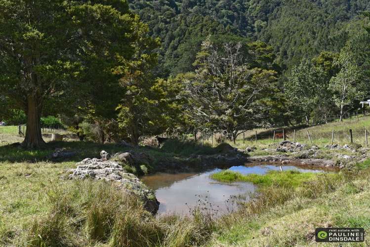 269 Otaika Valley Road Otaika_31