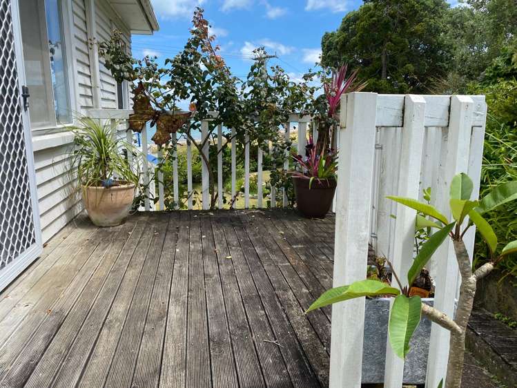 852 Thames Coast Road Te Mata_18