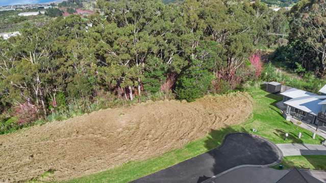 23 Madison Place Morningside_4