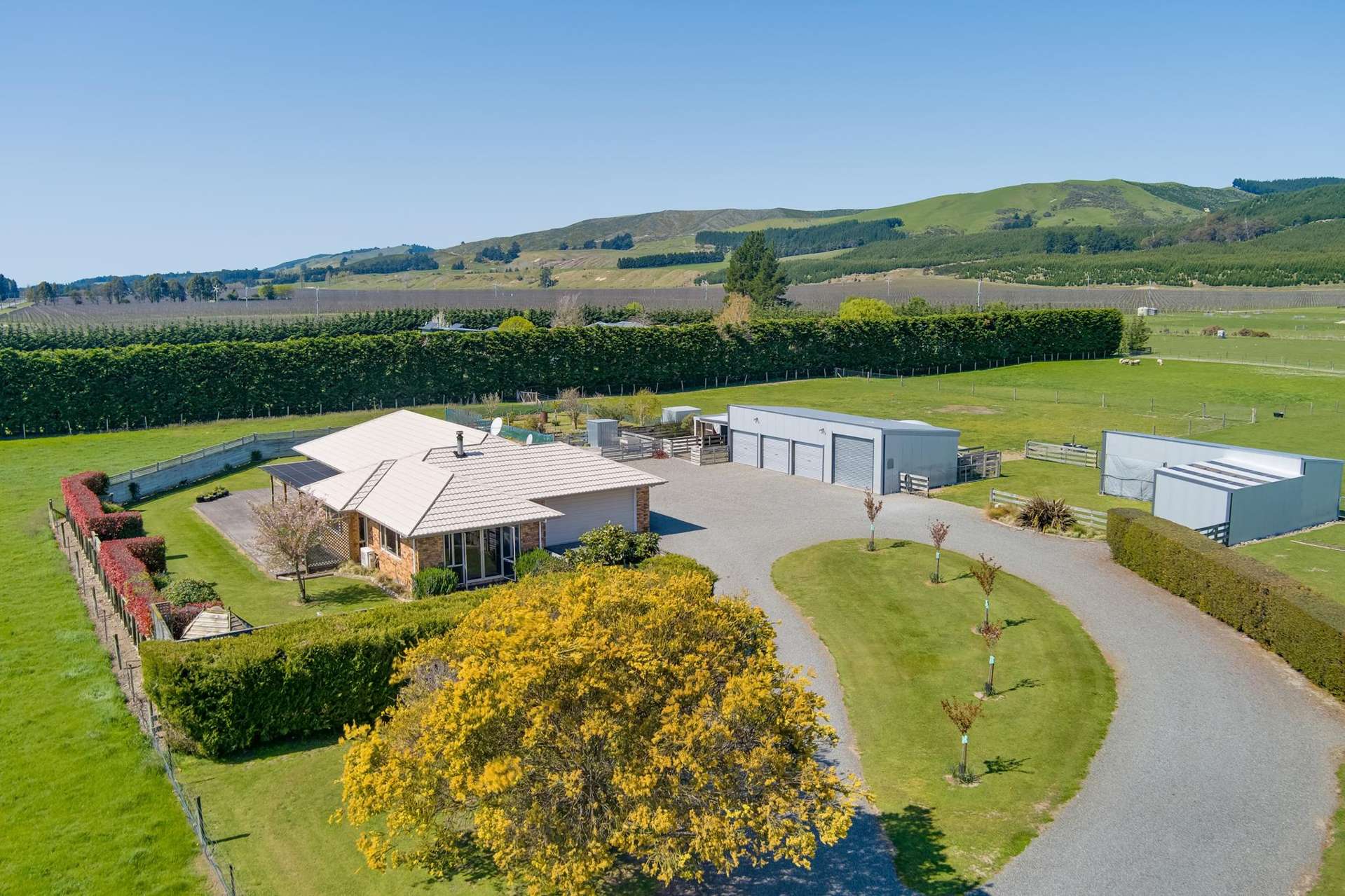 2603 Wairau Valley Road Wairau Valley_0