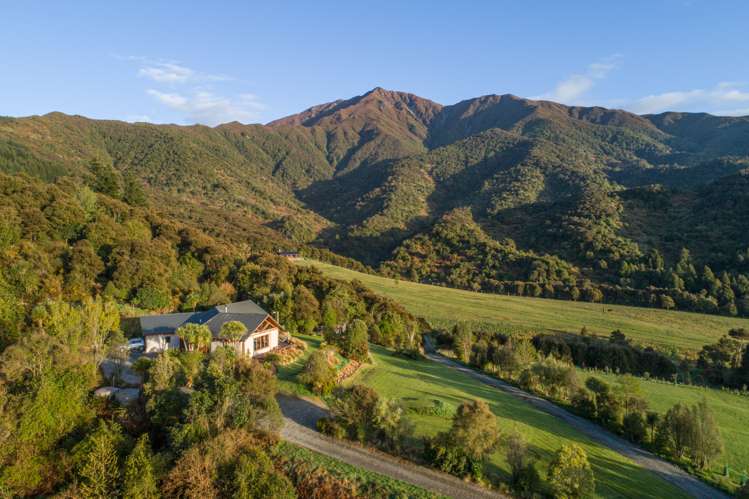 228 Blandswood Road Mesopotamia_5