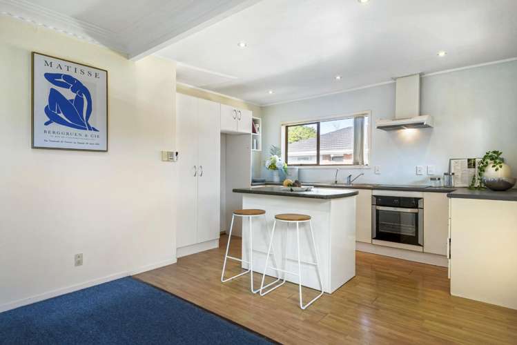 1/3 Matai Road Greenlane_7