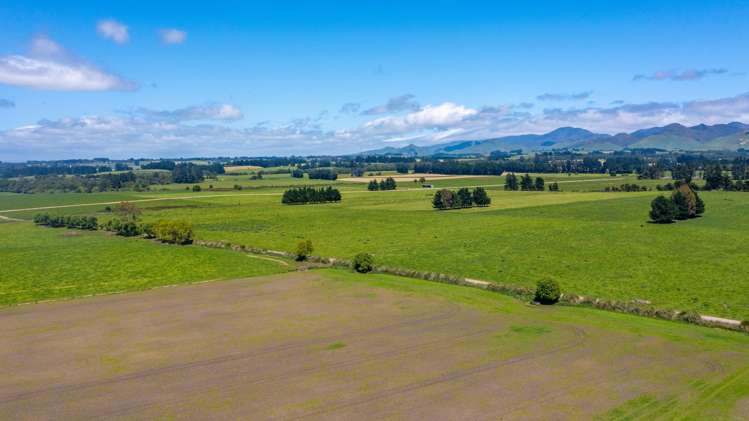 375 Snee Road Takapau_6