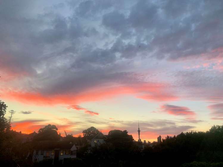 6/12 Burrows Avenue Parnell_5