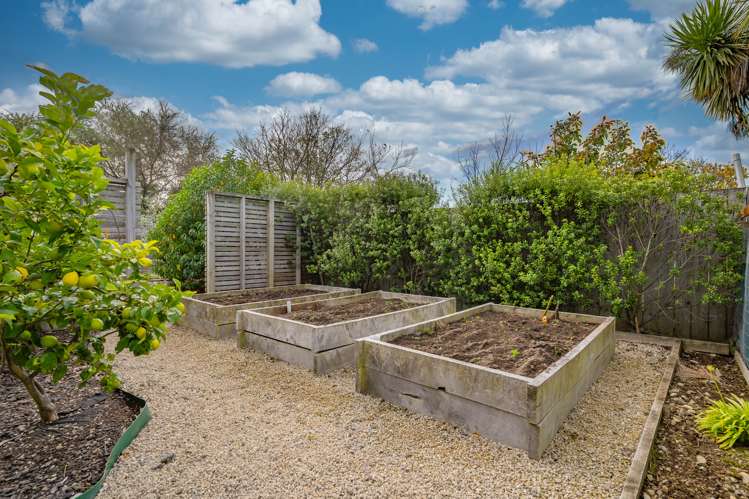 7a Dublin Street Martinborough_17