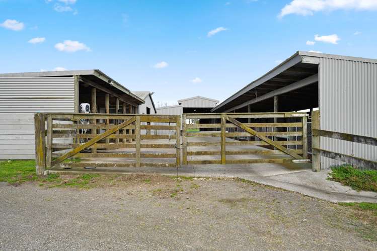 59 Racecourse Road Cambridge_49