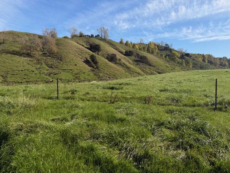 235 Te Ore Ore-Bideford Road Masterton_13