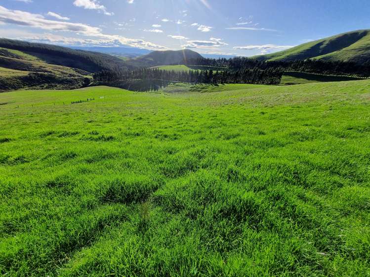 Waiwera Gorge Road Clinton and Surrounds_7