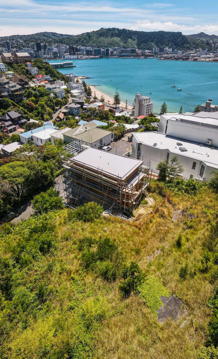 16 Telford Terrace Oriental Bay_10
