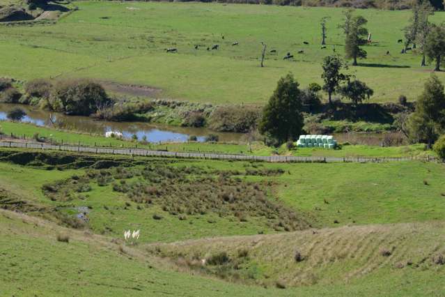 814 Awakau Road Mokau_1