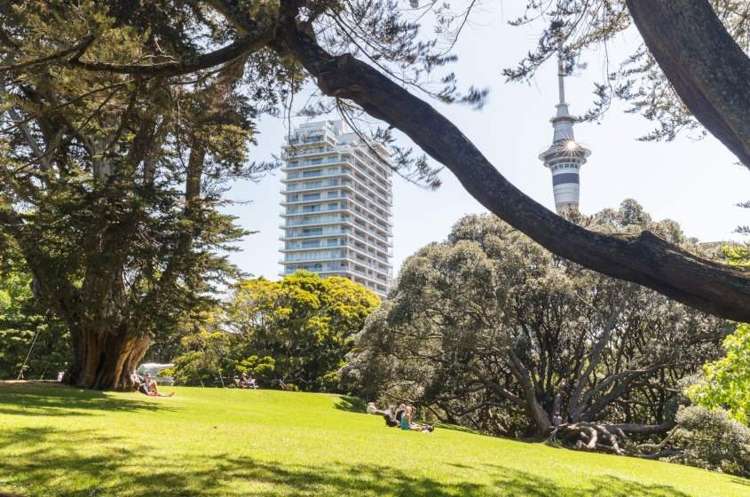 402/37 Symonds Street Grafton_1