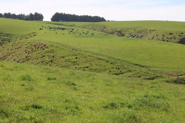 339 Rankleburn Road Pomahaka_13