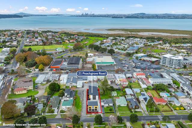 1,2,3,6/21 Peachgrove Road Te Atatu Peninsula_2