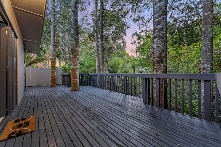 19 Tainui Road Titirangi_30