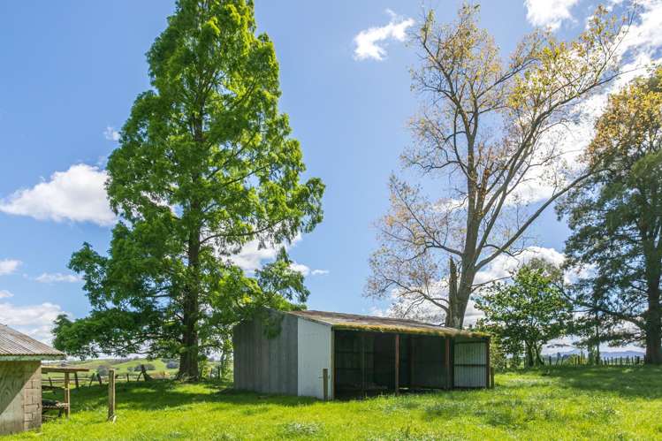 Lot 2-1768 Morrinsville Walton Road Matamata_22