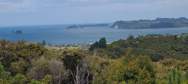 57 Tarapatiki Drive Whitianga_1