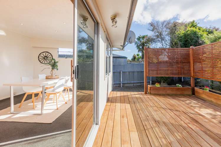 26 Skerrett Crescent Tamatea_11