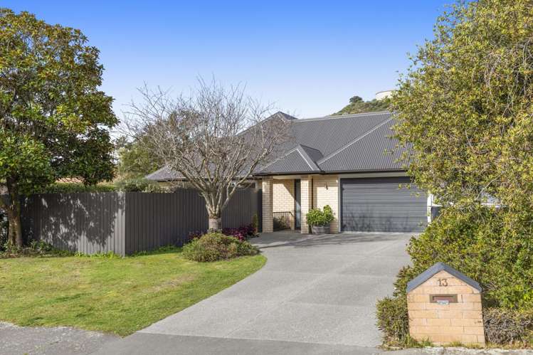 13 Alderson Avenue Hillsborough_24