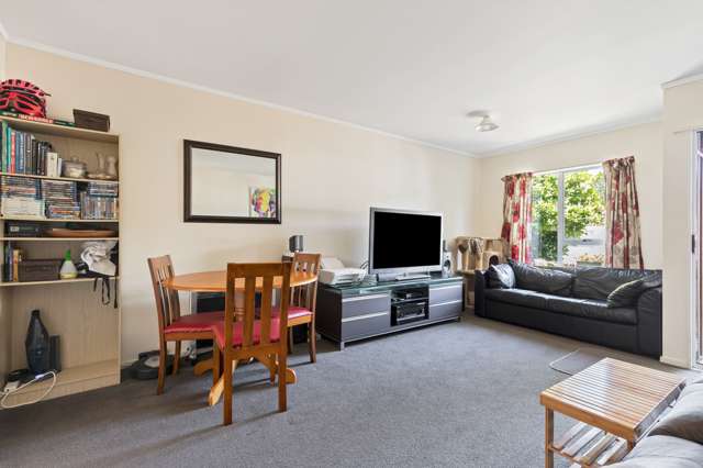 2/55 Hamilton Road Hataitai_3