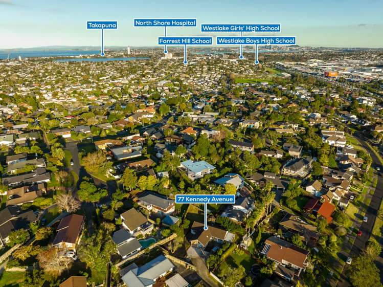 77 Kennedy Avenue Forrest Hill_18