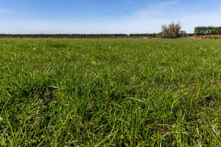 125 Merton Road Fernside_20