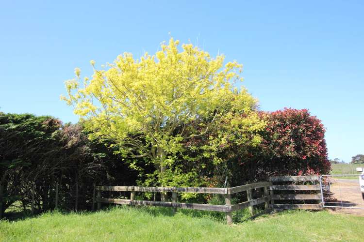 53 Takahiwai Road Ruakaka_9