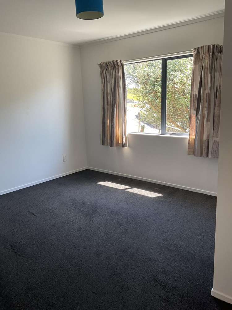 255 Rodney Street Wellsford_18