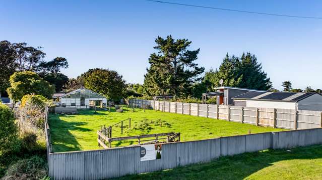 38 Bear Street Waverley_1