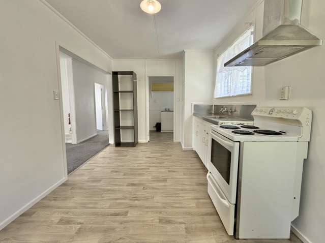 45 Papanui Street Tokoroa_3