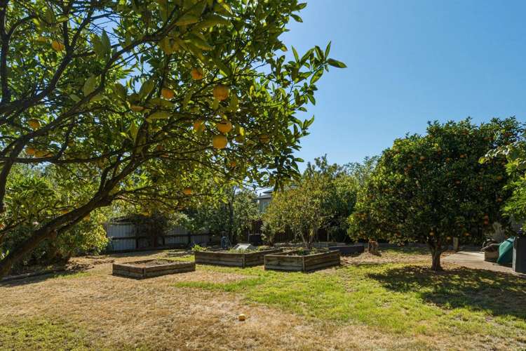 189 Redwood Street Witherlea_17