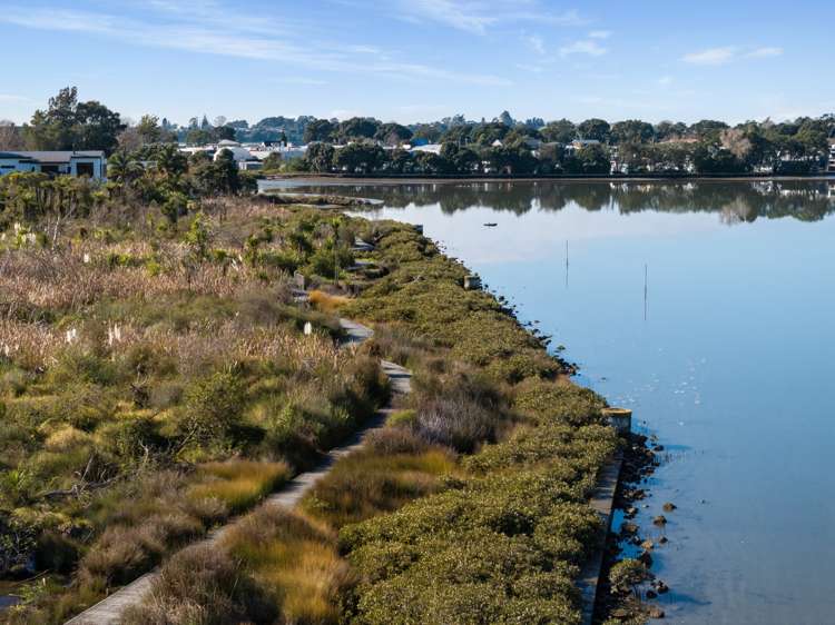 41 Scantlebury Street Tauranga South_22