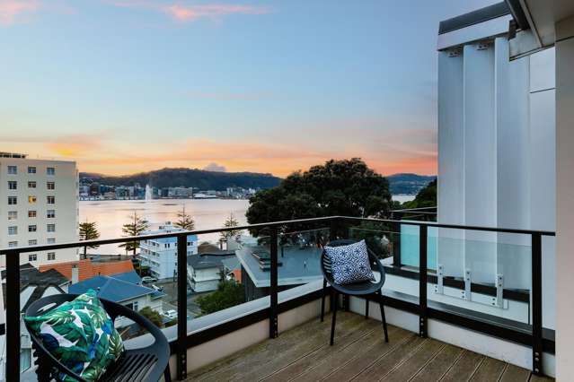 1C Wilkinson Street Oriental Bay_4