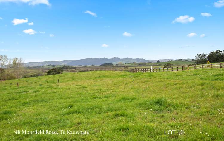 52 Moorfield Road Te Kauwhata_16