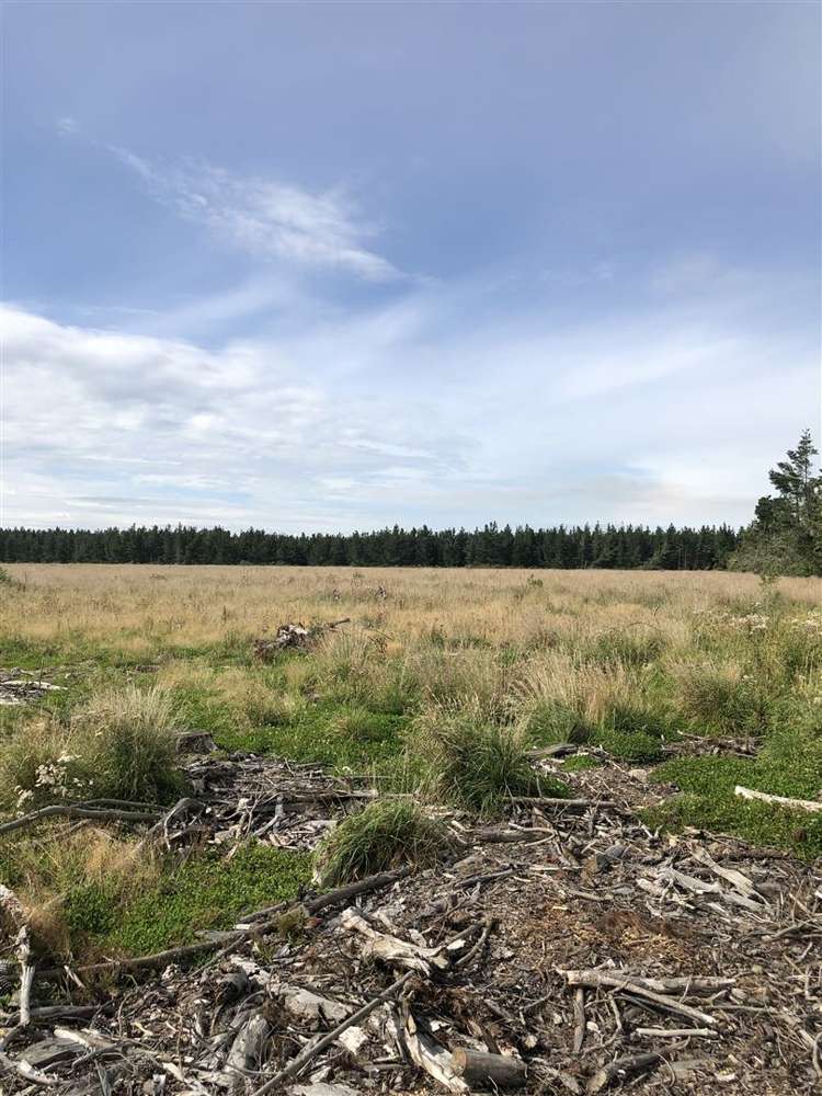 80 Struie Road Hororata_6