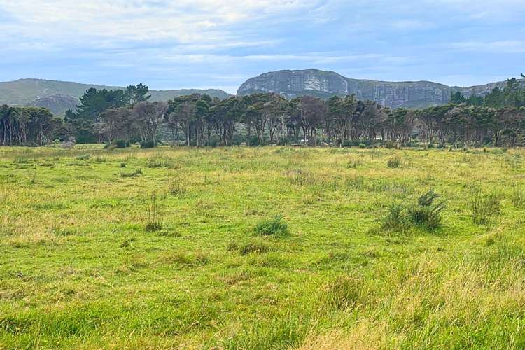 Lot 3/161 Wharariki Road Puponga_16