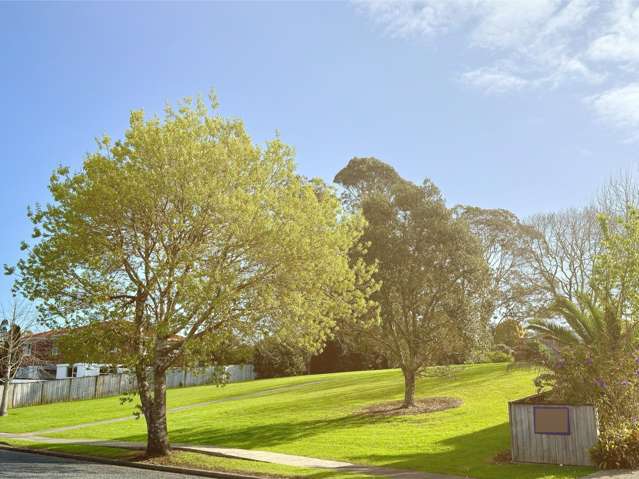 1 Mirrabooka Avenue Botany Downs_1